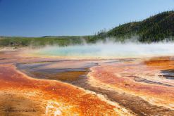 heisse-quellen-yellowstone-NP