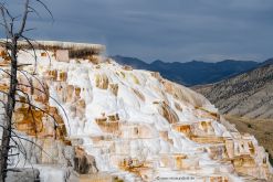 USA-Yellowstone-Mammoth-Hot-Springs-sinterterrassen-Fotreise