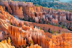 bryce-canyon