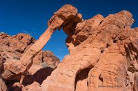 Valley-of-Fire-State-Park-Felsenelefant