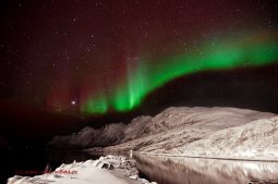 Fotoreise nach Norwegen - Zweifarbiges Polarlicht auf den Lofoten Fotoreise nach Norwegen