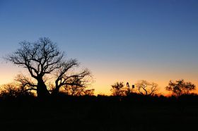 sonnenuntergang-boab-windrad