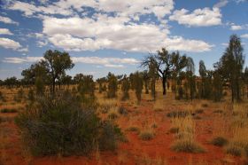 auf-dem-weg-in-den-kings-canyon