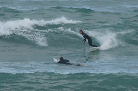 port-elliot-surfer