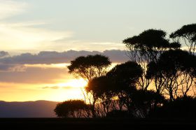 blue-mountains-sonnenuntergang