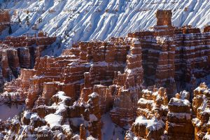 Red_Canyon-Bryce-Toadstool-Hoodoos