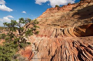 Coyote-Buttes-South-2