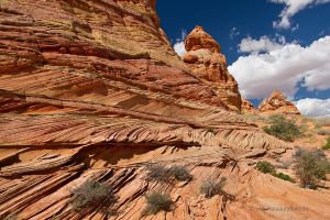 Coyote-Buttes-South