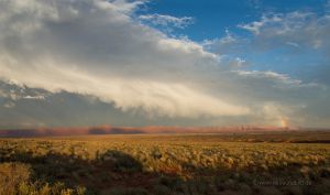 Coyote-Buttes-South-Vermillion-Cliffs-3