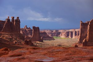 Arches-NP-Koenige