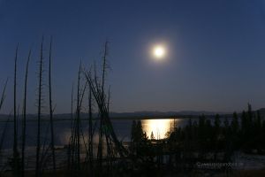 Lake-Yellowstone