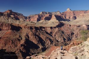 Abstieg-in-den-Grand-Canyon