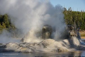 Yellowstone-Geysir-1