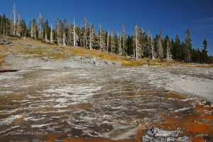 Yellowstone-Geysir-Ablauf-1