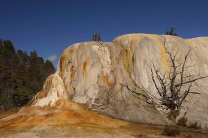 Yellowstone-NW-Mammoth-Hot-Springs
