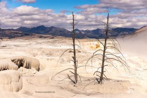 Yellowstone-NW-Mammoth-Kalk