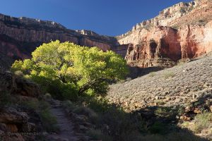 Grand-Canyon-Aufstieg