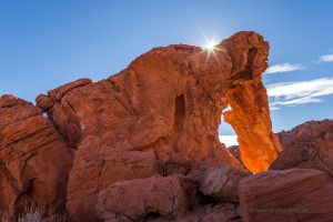 Valley-of-Fire-State-Park-Felselefant