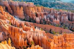 Bryce-Canyon-2